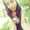 Flor Romero Flor Romero