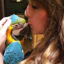 Laura Sanz Torralbo Laura Sanz Torralbo