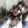 lisset sanchez lisset sanchez