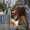Lucia Lucia