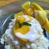 Thx you sis resep pulut mangga ala2 nya wkwk