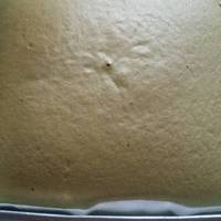 Ogura Cake Pandan Super soft moist recomended