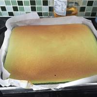 Ogura Cake Pandan Super soft moist recomended