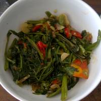Cah Kangkung