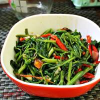 Cah Kangkung