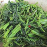 Cah Kangkung