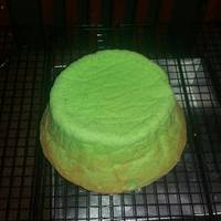 Ogura Cake Pandan Super soft moist recomended