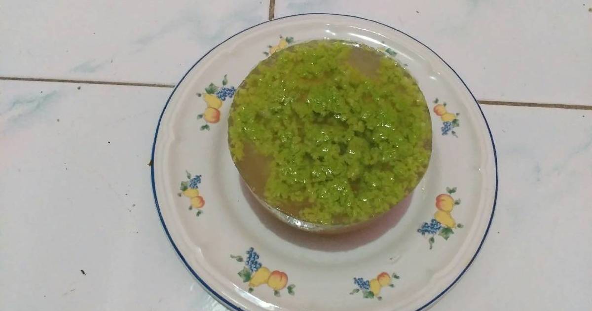  Resep  Puding  Lumut  Tidak  Bau Amis  Resep  Yang Maknyus 