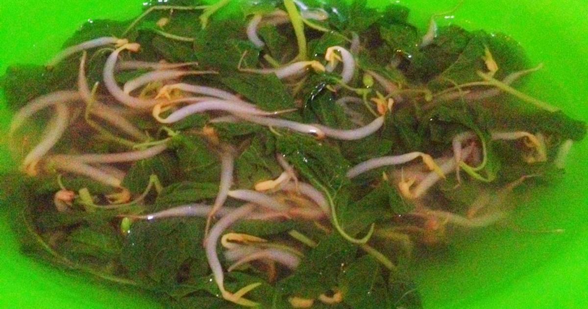 13 390 resep sayur toge enak dan sederhana Cookpad