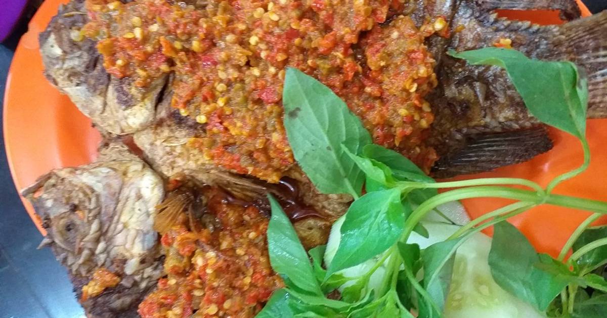 52 resep  ikan goreng  rica rica  enak dan sederhana Cookpad