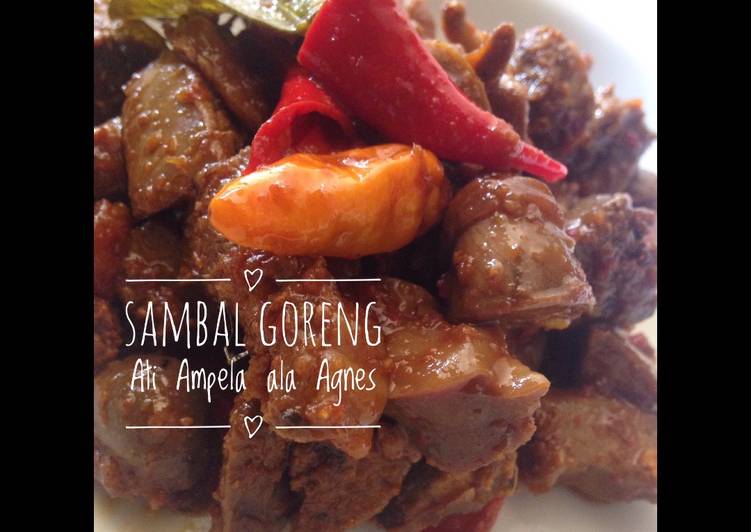 gambar untuk resep Sambal Goreng Ati Ampela ala Agnes