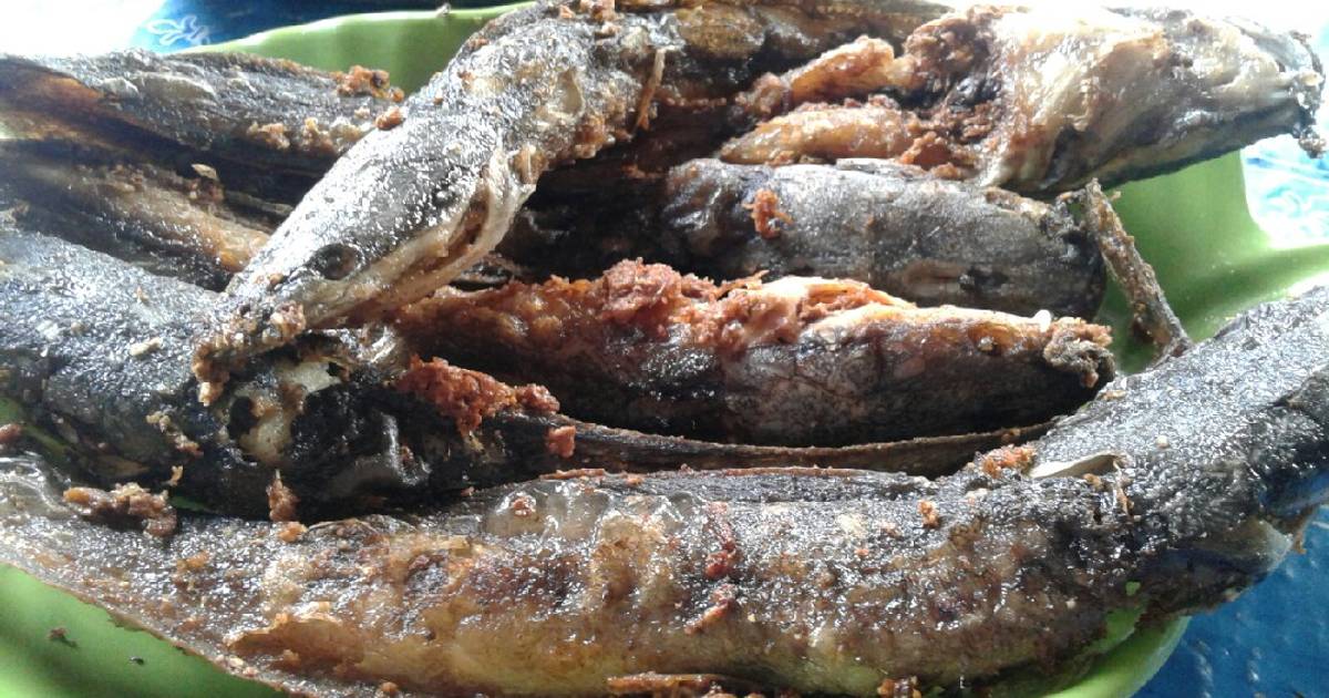 1 466 resep  ikan lele  enak dan sederhana Cookpad