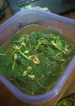 Sayur bayam super cepat kilat anak kos sahur