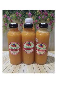 Diet Juice Mango Tomato Chicory (Sawi Putih)