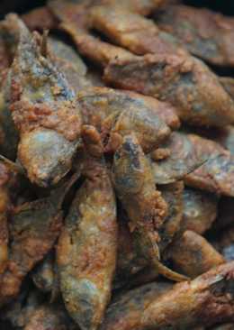 Crispy Baby Fish