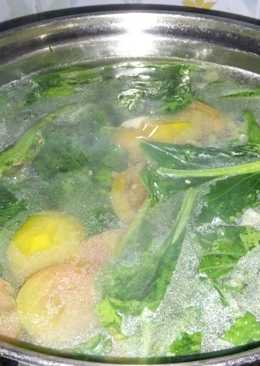 Sayur Caisim