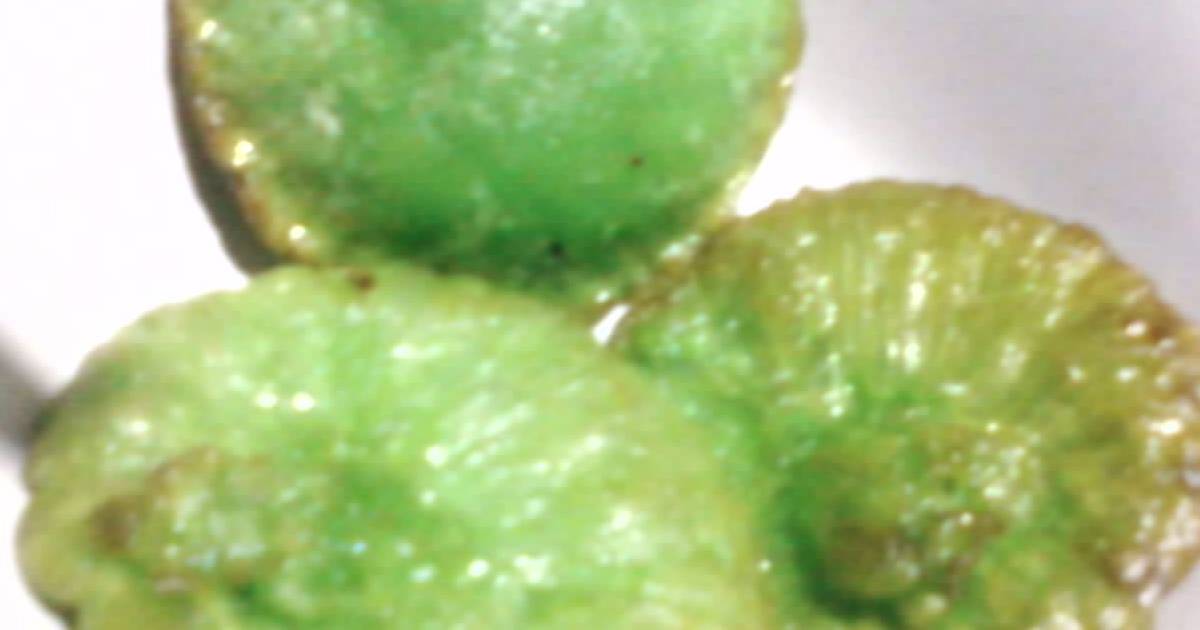Resep Cucur rasa pandan Resep Cucur rasa pandan