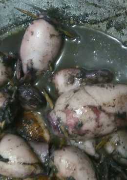 Cumi montok si hitam sedap