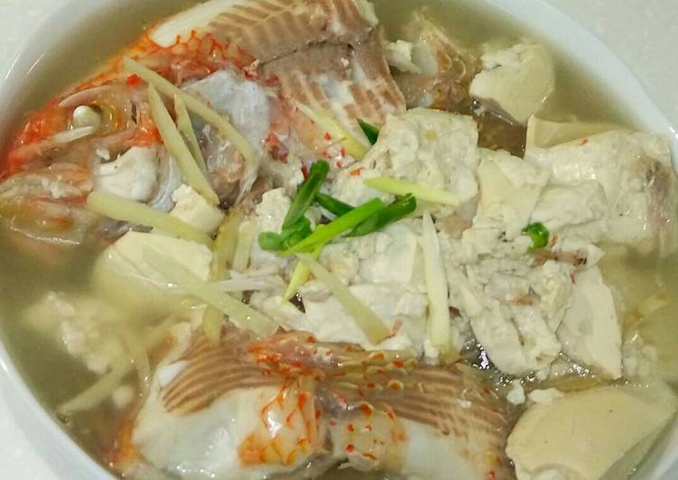 resep masakan Sup ikan emas ?? simpel