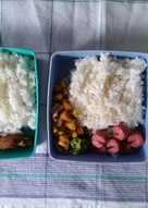 Sayur Tumis Saus Tiram (untuk bekal anak sekolah)