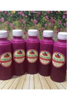 Diet Juice Golden Melon Apple Dragon Fruit