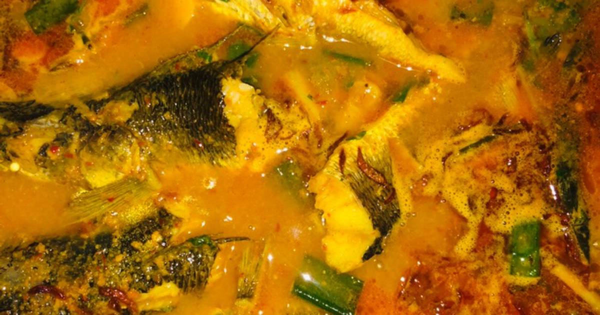  Resep Ikan gabus kuning oleh ALFANI Cookpad