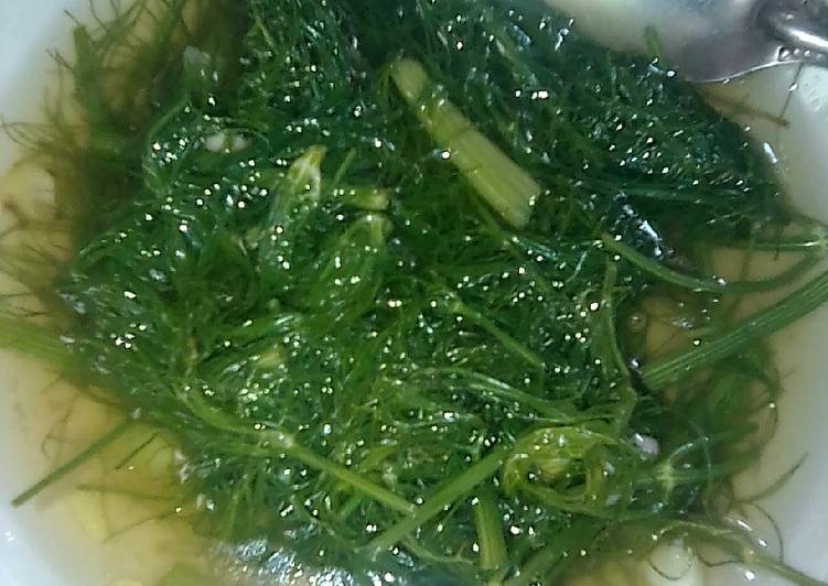 2000 Gambar Daun Adas HD Paling Keren 2000 Gambar Daun Adas HD Paling Keren