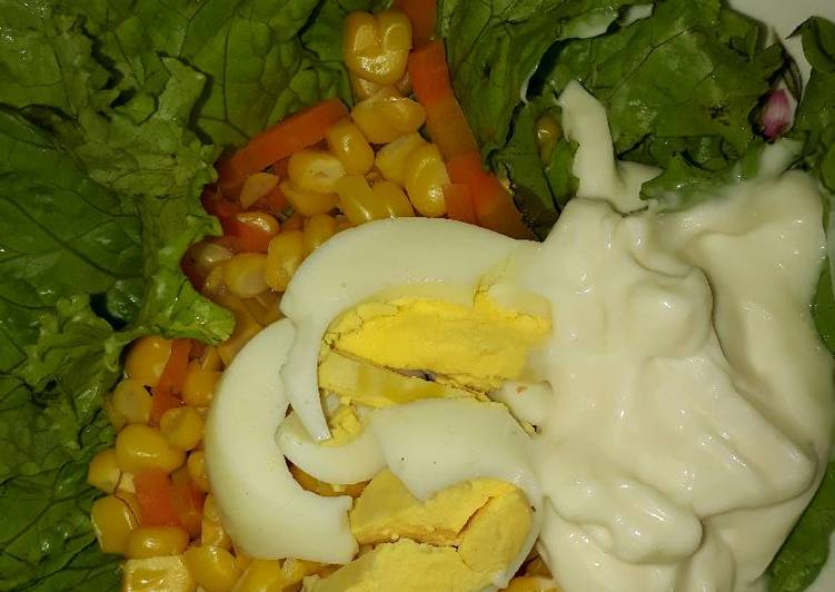 Resep Salad sayur favorit Kiriman dari Ellen Nasya Putry