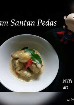 Ayam santan pedas