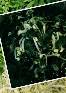 Sayur daun katu (penambah asi)