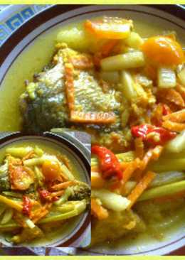 AcaR Kuning Ikan PaTin