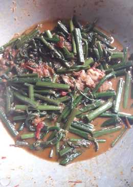 Tumis pakis santan pedas sedaerhana