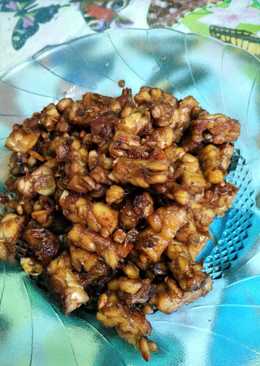 Tempe kecap
