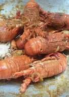 Lobster saus tiram pedas