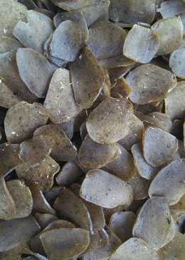 Krupuk kupang