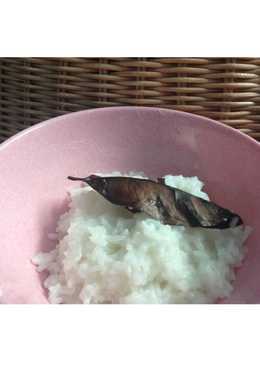 Bubur nasi polos