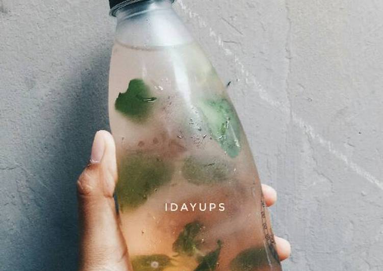 bahan dan cara membuat Healthy Infuse Water