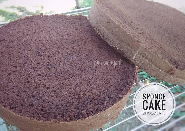 gambar untuk cara membuat Sponge Cake Chocolate