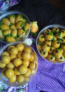 Nastar renyah enuuak