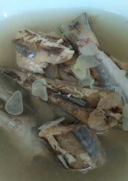 Tim Ikan Cucut