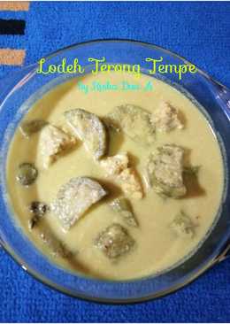 Lodeh Terong Tempe