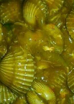 Kerang dara saus asam manis pedas