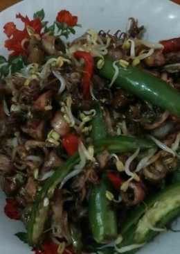 Oseng" cumi asin,toge cabe hijau