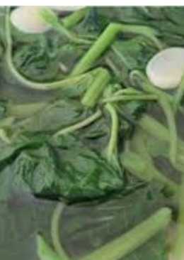 Sayur bayam segar sehat