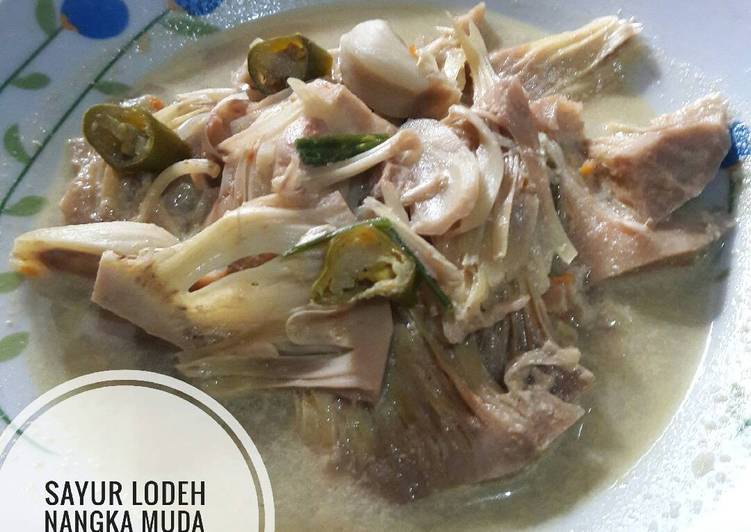 cara membuat 29. Sayur Lodeh Nangka Muda / Tewel ala Ndeso