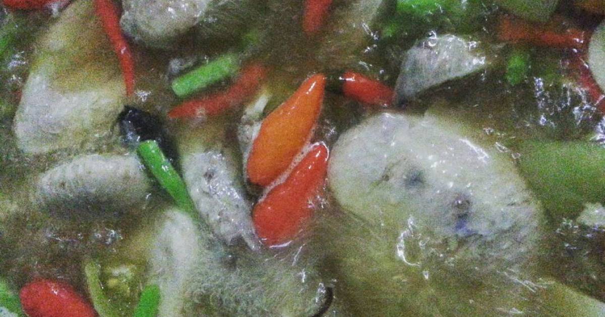 Resep Asem asem ayam ala aulia fachrini