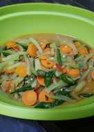 Sayur lodeh labu siam wortel cabe ijo