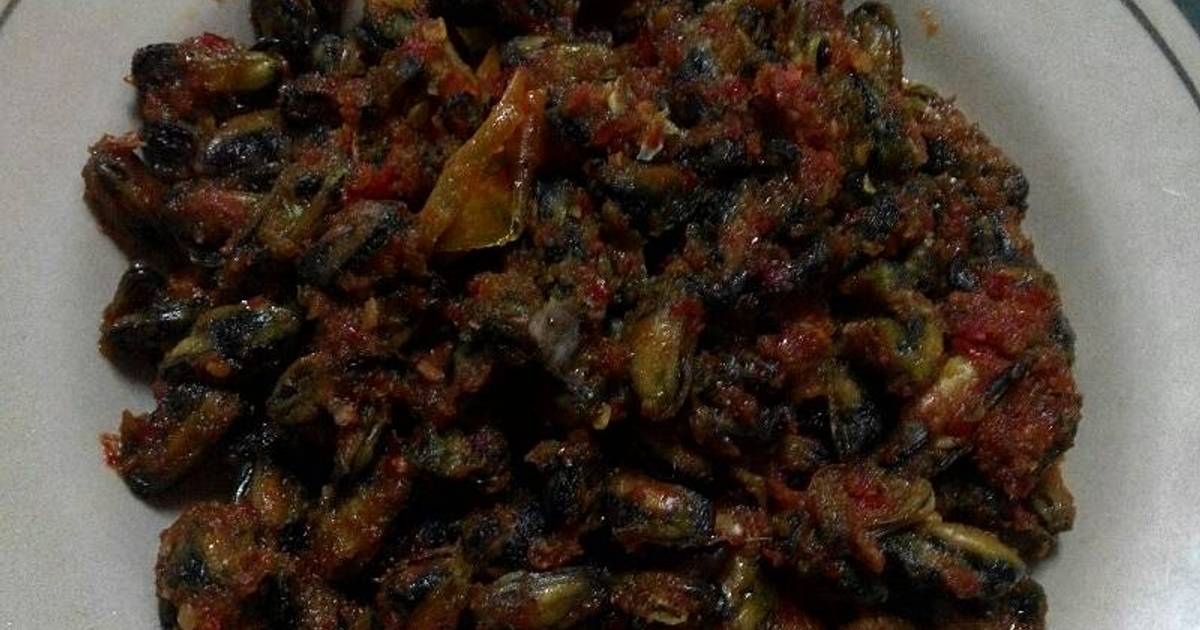  Resep Balado kerang hijau sederhana sekali oleh Hayatt 