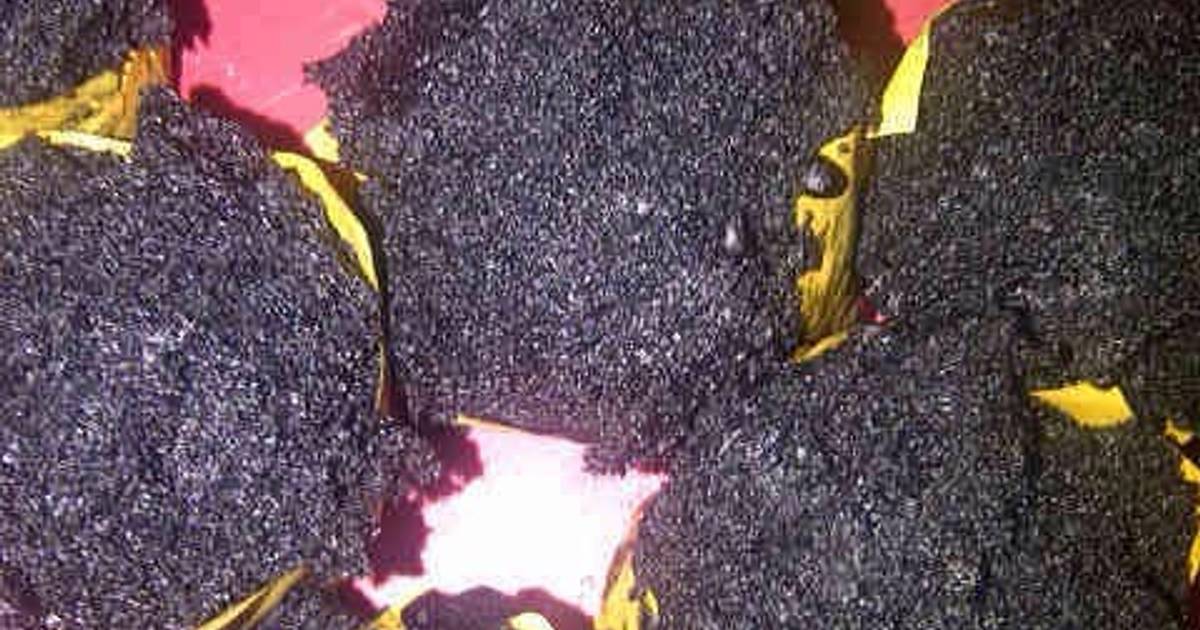 Resep Bolkus mekar brownies eggless Resep Bolkus mekar brownies eggless