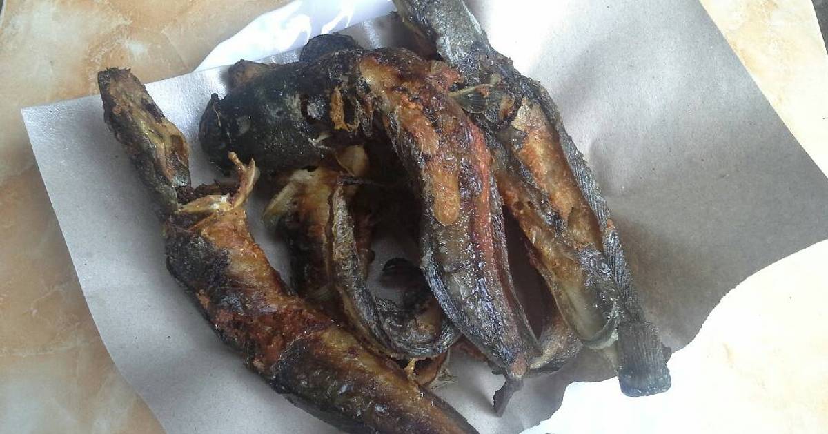 Resep Ikan  Lele  goreng  kriuk oleh Rina Widodo Cookpad